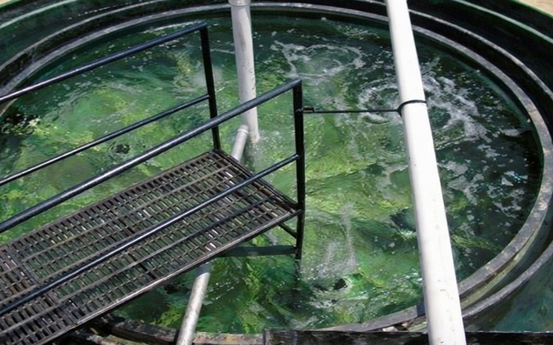 Mantenimiento de reactor anaerobio para plantas de tratamiento eficientes