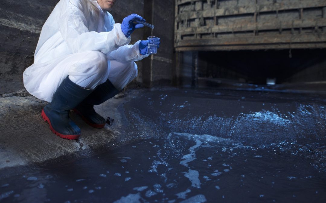 Tratamiento de aguas servidas: optimice su proyecto hoy