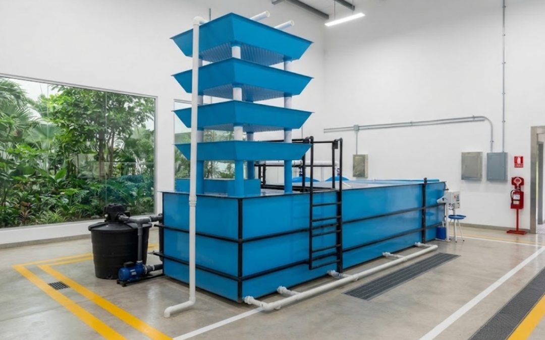 Fabricantes Plantas de tratamiento Cali | Cotiza hoy