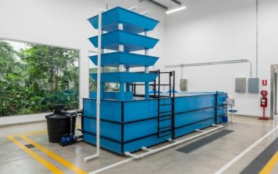 Fabricantes Plantas de tratamiento Cali | Cotiza hoy